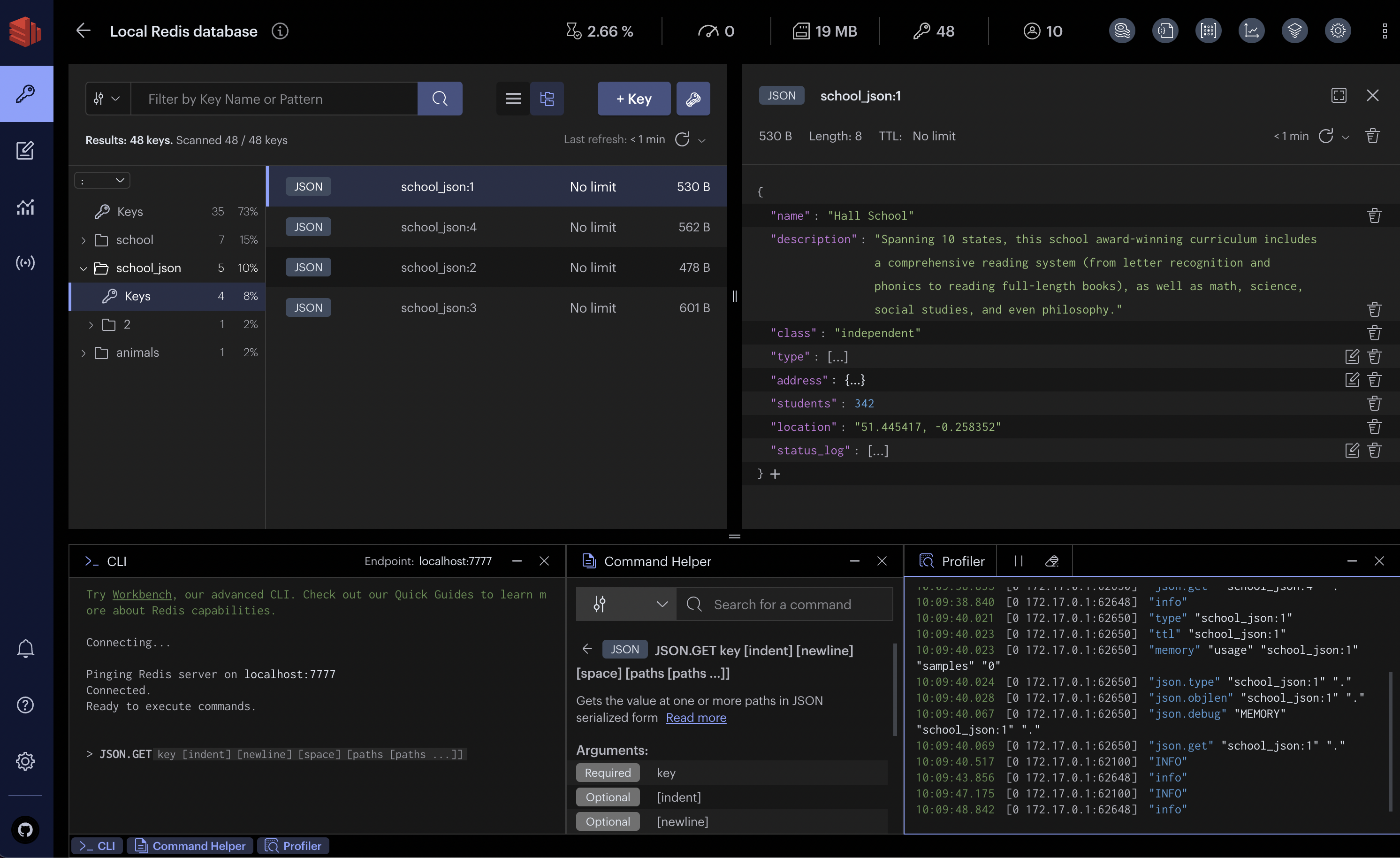 Redis Insight preview